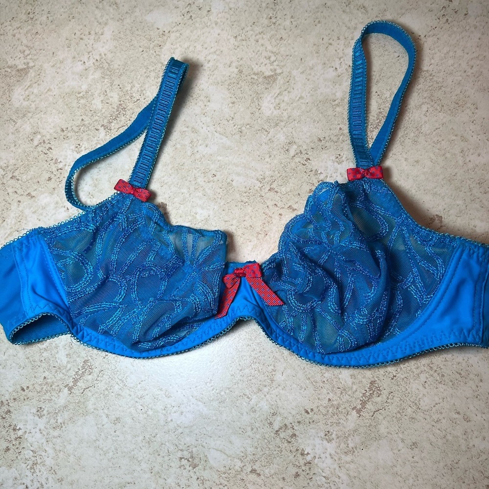 VTG Y2K Freya Vintage Sheer Blue Lace Whimsical Size 36D Bra Red Bows EUC‎